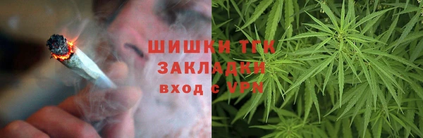 амф Елабуга